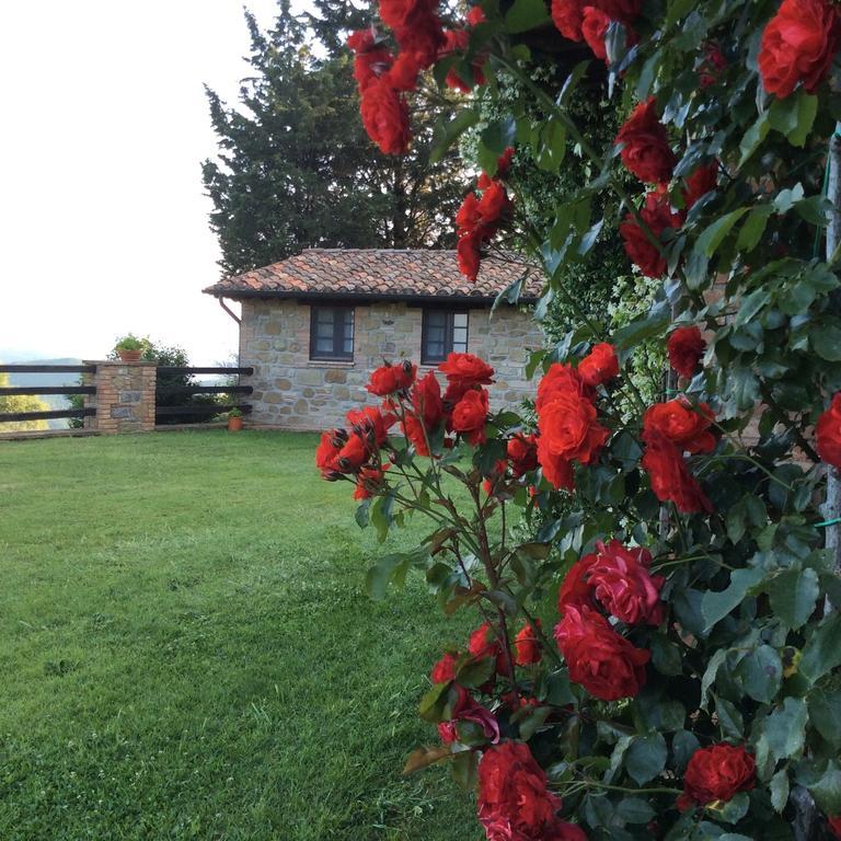 Agriturismo La Bicocca - Apt. "Il Leccio" Castel Rigone ห้อง รูปภาพ