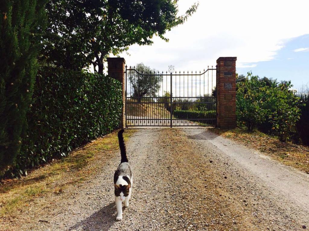 Agriturismo La Bicocca - Apt. "Il Leccio" Castel Rigone ห้อง รูปภาพ